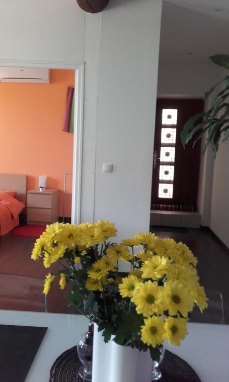 Appartement La Mediterranee Vue Sur Mer Plein Soleil 3 Climatisations Reversibles Port Vendres Eksteriør bilde